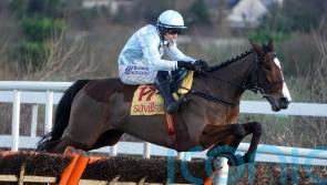 Jade De Grugy could take in Fairyhouse on the way to Cheltenham
