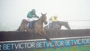 Night And Day foils stablemate Brandy Love in Naas gloom
