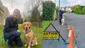 NHS midwife who would call to check on her ward in the night due to anxiety quits to become guide dog trainer