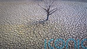 European climate agency warns world is ‘flirting’ with warming limit