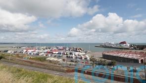 ‘Relief’ no migrant died in refrigerated container at Irish port, minister says