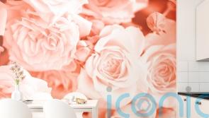 How to style Pantone’s 2024 Colour of the Year – Peach Fuzz