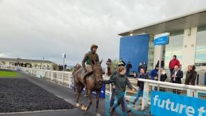 Fairyhouse could be on the agenda for Judicieuse Allen