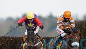 Dashel Drasher could take on Shishkin and Bravemansgame before Cheltenham
