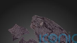 Study describes oldest known evidence of fossilised skin