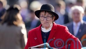 Wincanton officials desperate to beat the weather for Henrietta Knight’s return