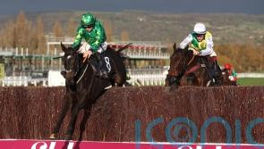 Malina Girl seeking to be a Classic winner for Cromwell
