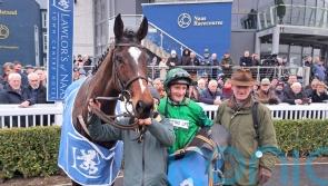 Readin Tommy Wrong upsets stablemates at Naas