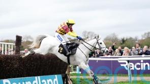 Veterans’ triumph in Ramses De Teillee’s sights