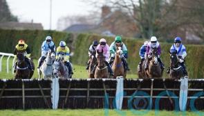 Cold snap prompts Hereford and Plumpton to inspect