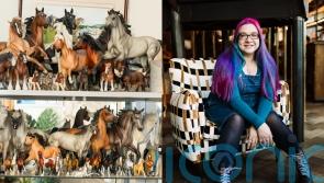 Horse lover collects 204 model horses worth &pound;3,500 to make up for the fact she&rsquo;s allergic to horses