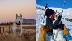 ‘After I lost my housing, my dog and I lived in a school bus – now we’re living our best life skiing mountains’
