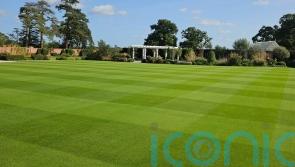 What to do month-by-month to keep your lawn looking lush