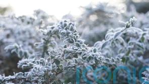 Freezing temperatures cause travel disruption in Ireland