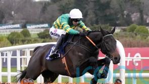 No Flies On Him has Dublin date for O’Grady