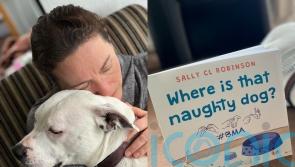Owner who taught deaf and wheelchair-bound dog sign language writes children’s book to inspire kids with special needs