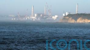Fukushima nuclear plant operator has no safety concerns after January earthquake