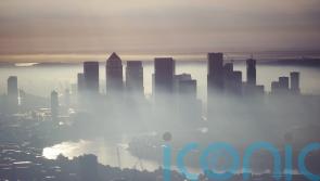 Company insolvencies on track for 14-year annual high after December rise