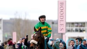 Cheltenham Festival novice chase entries include Iroko