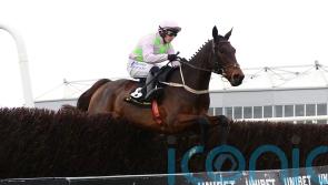 Connections facing Festival quandary with Gaelic Warrior