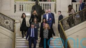 Stormont must be reformed so no single party can collapse institutions – Long