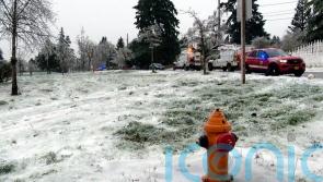 Baby rescued but three die after power line falls on car in ice storm
