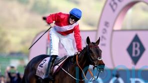 'Very special horse' - De Bromhead-trained A Plus Tard retired