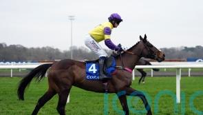 Kerry Lee planning to ‘shop around’ for Nemean Lion aim
