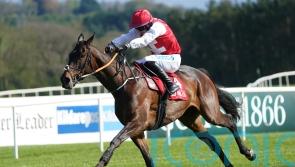 Sandor Clegane chasing first win over fences at Navan