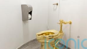 Three men deny charges over theft of gold toilet from Blenheim Palace