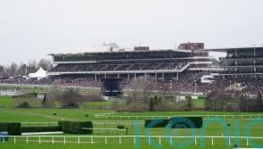 Clarence House Chase switched to Cheltenham