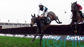 All eyes on L’Homme Presse return to the Gold Cup mix
