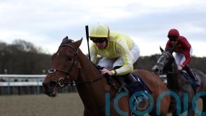 Oh So Grand for Crisfords with back-to-back wins in Winter Oaks