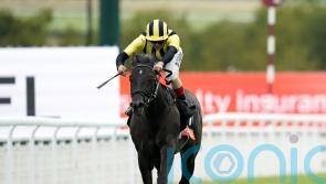 Vandeek pencilled in for Sandy Lane return