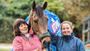 Coneygree still ‘definitely knows he’s very important’