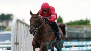 High Class Hero extends unbeaten record