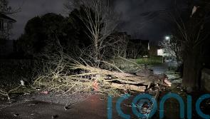 Commuters face travel disruption as Storm Isha tears through UK