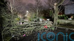 Storm Isha leaves thousands of people without power
