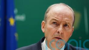 Irish deputy premier says ‘no excuse for delay’ in aid to Gaza