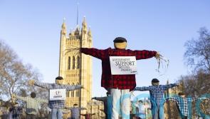 ‘Scarecrows’ protest outside Parliament ahead of grocery supply chain debate