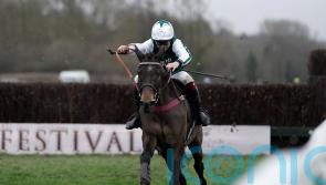 L’Homme Presse being pointed towards Ascot before Cheltenham