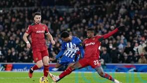 Brighton held to frustrating goalless draw by Wolves