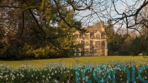 10 of the best gardens to visit to see snowdrops