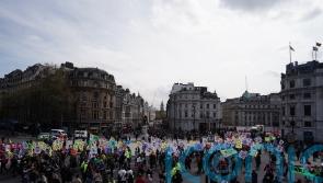 UN representative condemns UK’s treatment of climate protesters
