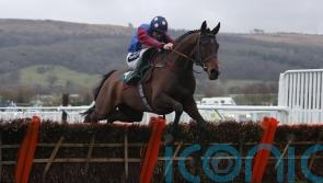 Paisley Park primed for record-breaking fourth Cleeve Hurdle