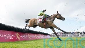 Power-packed Cheltenham novice entries revealed