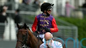 Reach For The Moon could yet be a royal representative at Cheltenham