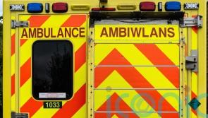 Most bizarre calls to Welsh Ambulance Service last year revealed