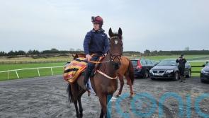 Fastorslow expected to take step forward in Irish Gold Cup