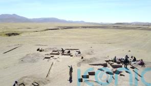 Diet of ancient Andes hunter-gatherers was 80% plant-based, study finds